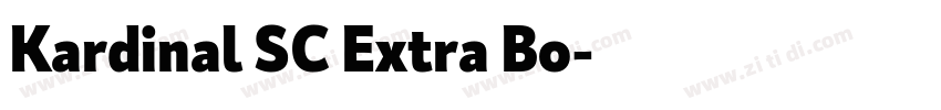 Kardinal SC Extra Bo字体转换